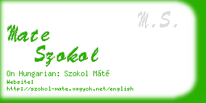 mate szokol business card